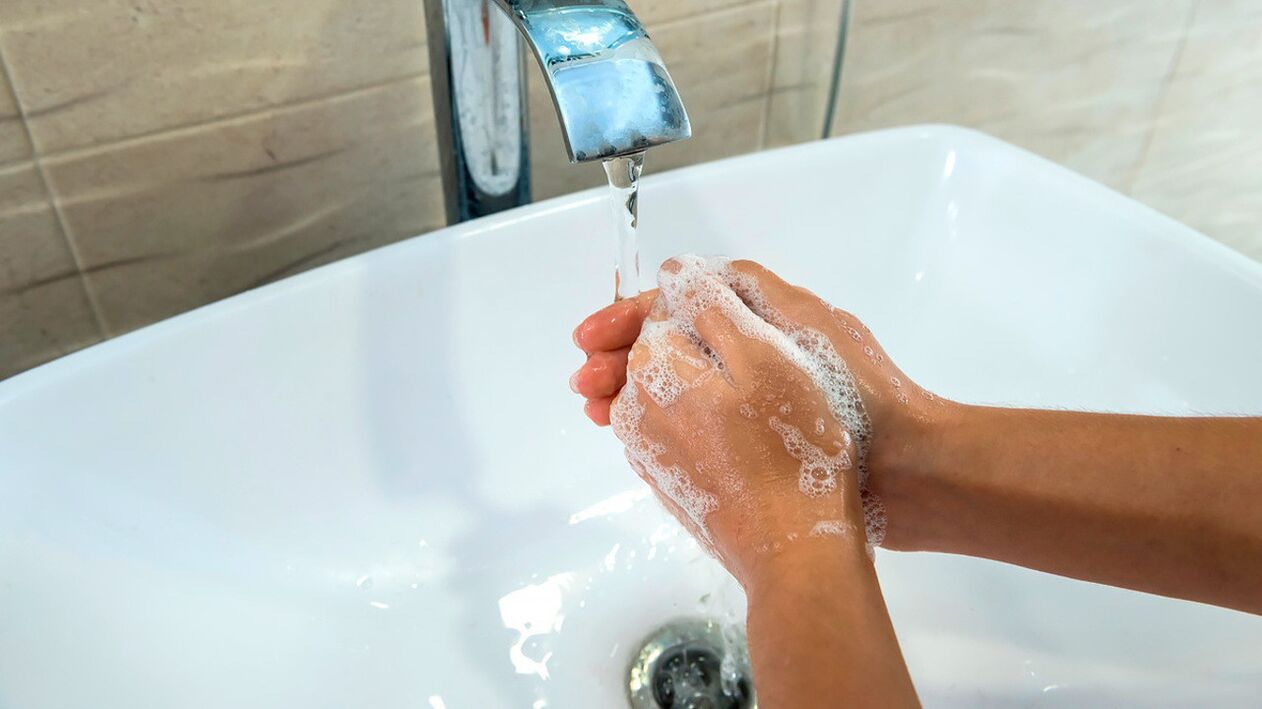 Nejjednodušším pravidlem pro prevenci helmintiázy je vždy si mýt ruce mýdlem.